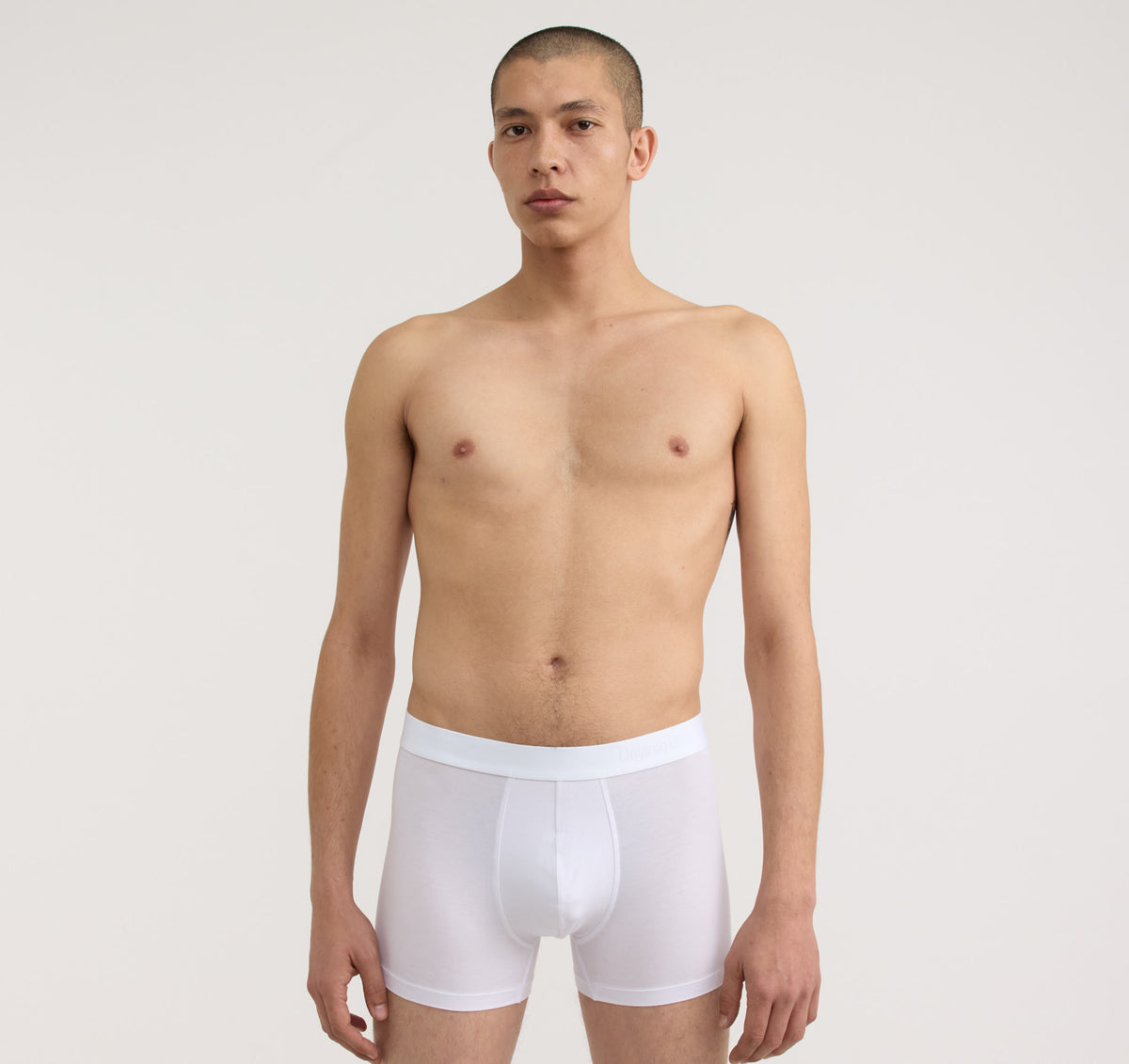Core Trunks 12-Pack