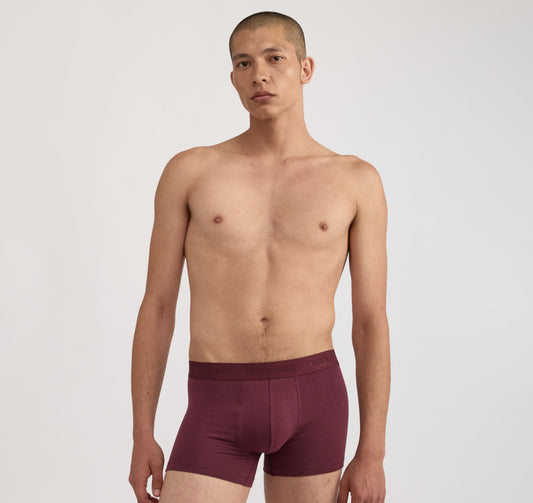 Core Trunks 12-Pack