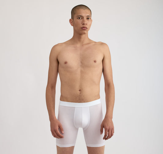 Premium Boxer Briefs 12-pack