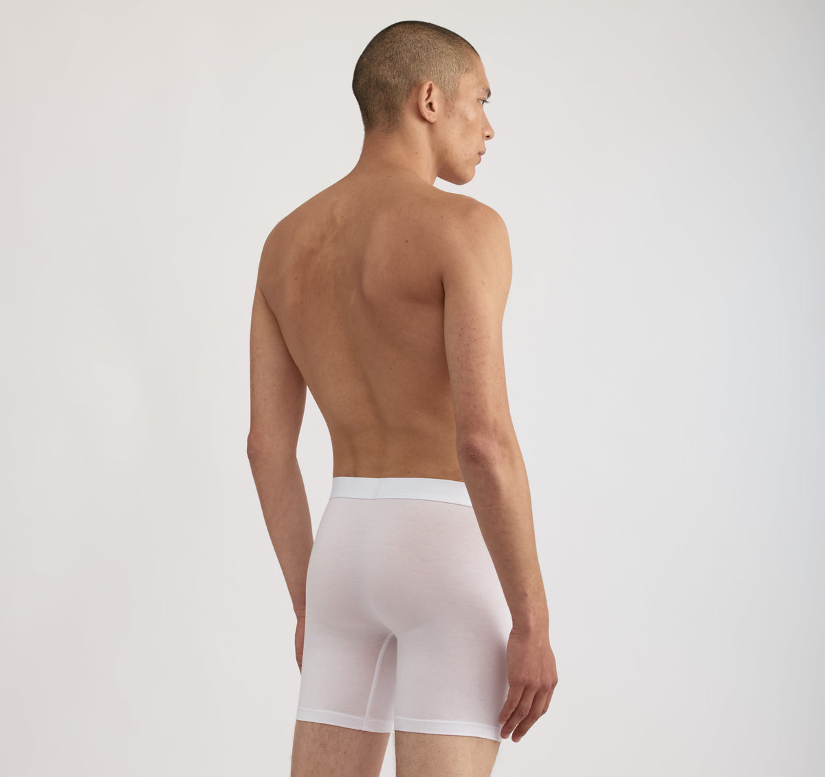 Premium Boxer Briefs 6-pack