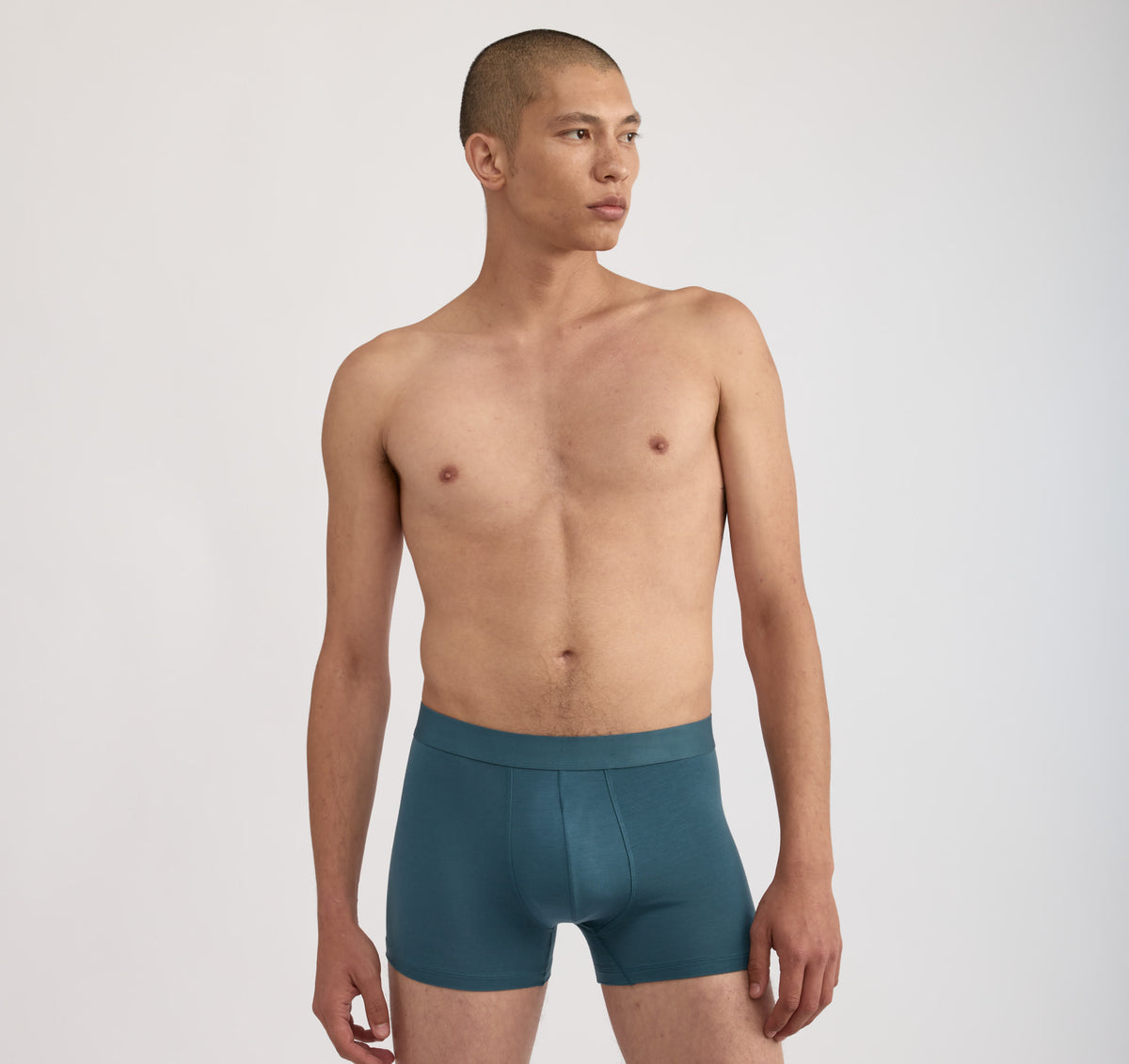Premium Trunks 12-pack