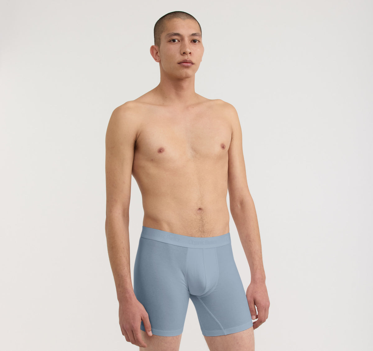 Core Boxer Briefs 12-Pack - Pavement / Thunder / Cloudy Blue – organic cotton – view 4