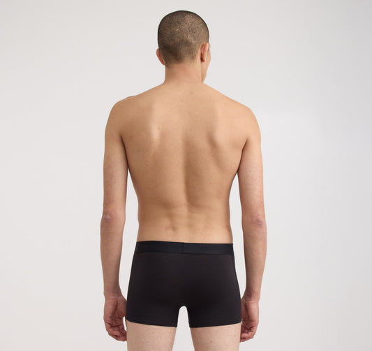 Core Trunks 12-Pack